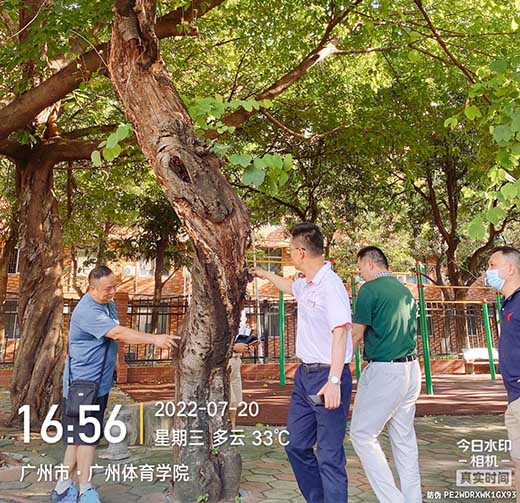 点此在新窗口浏览图片