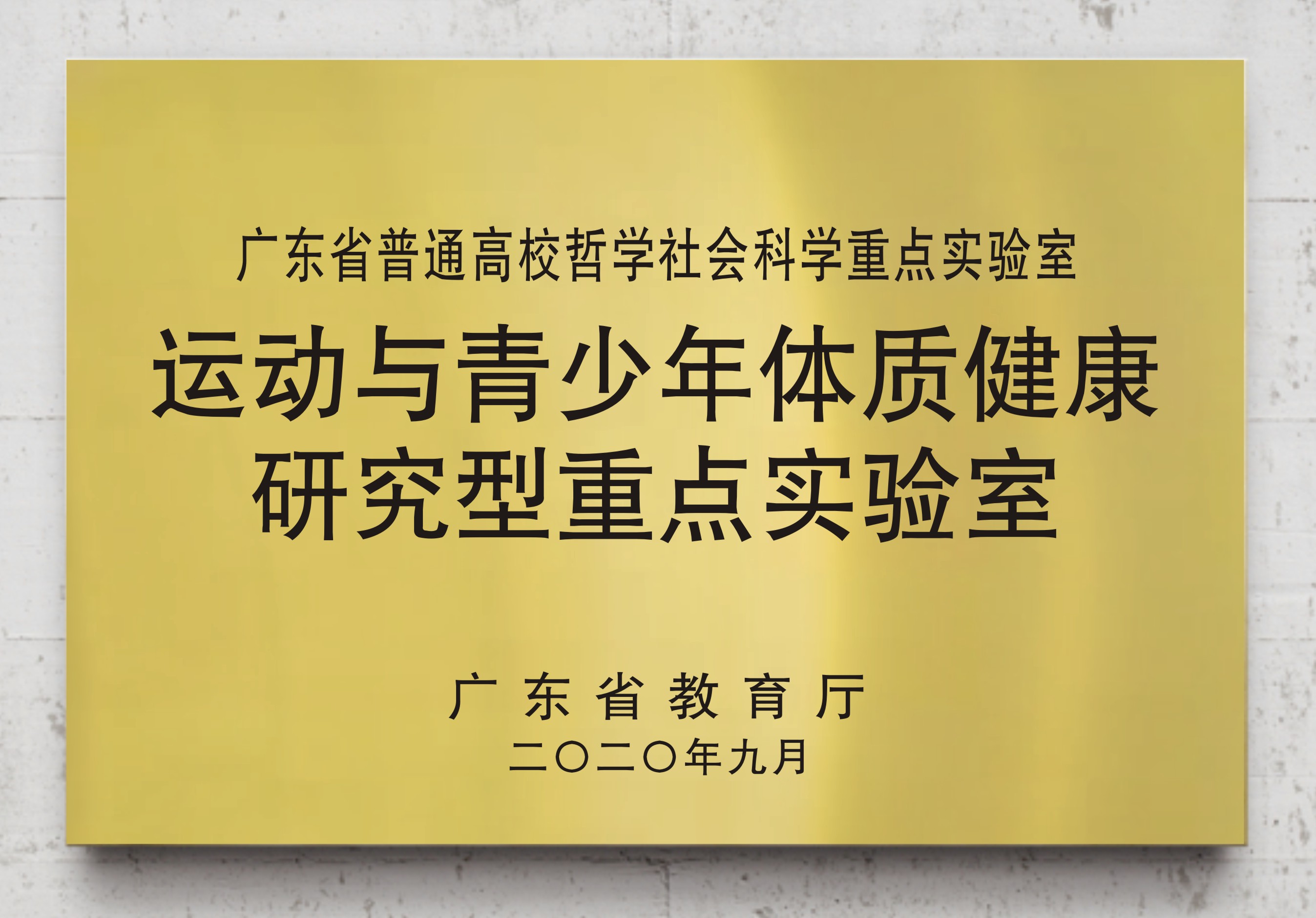 运动与青少年体质健康研究型重点实验室