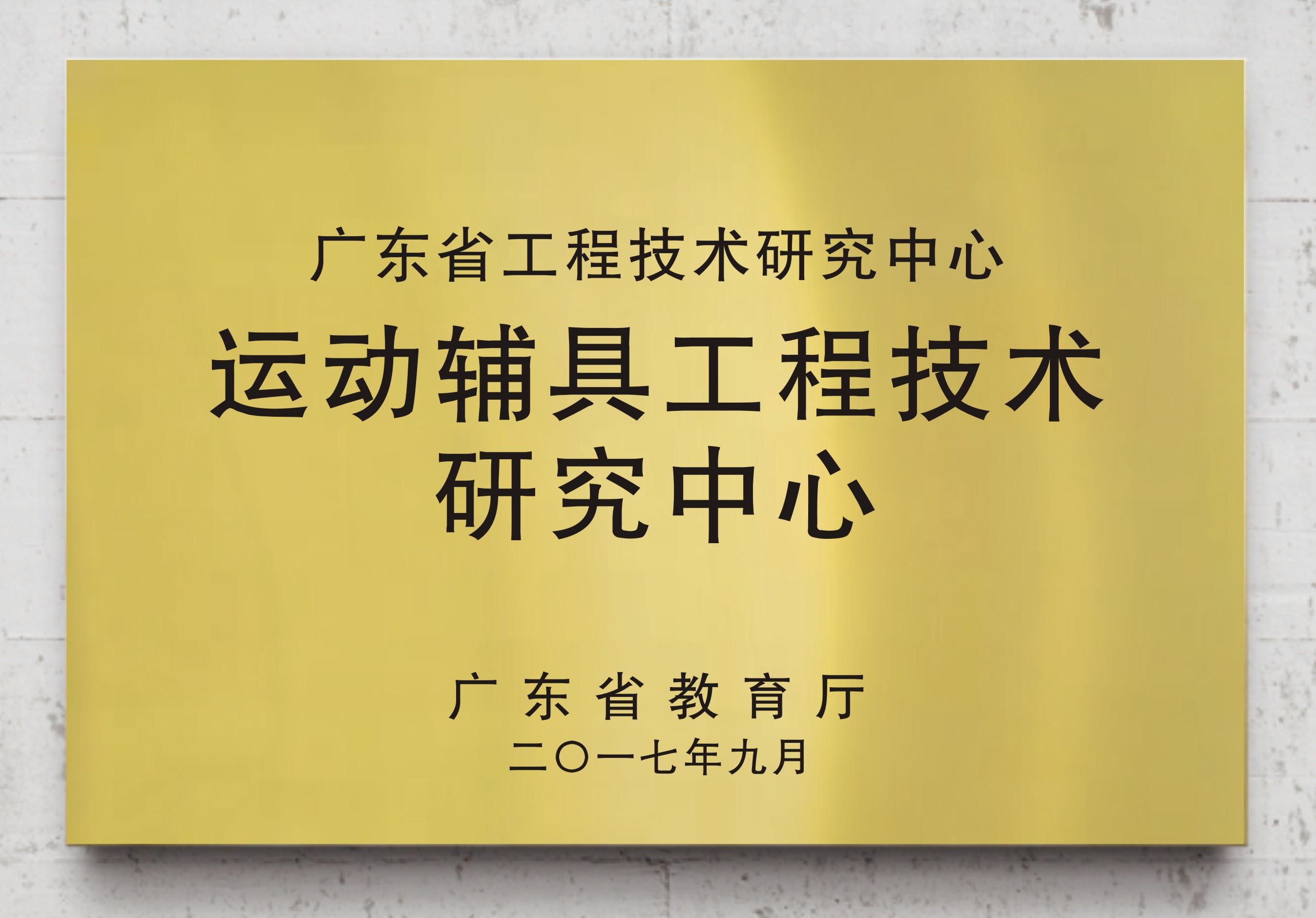 运动辅具工程技术研究中心