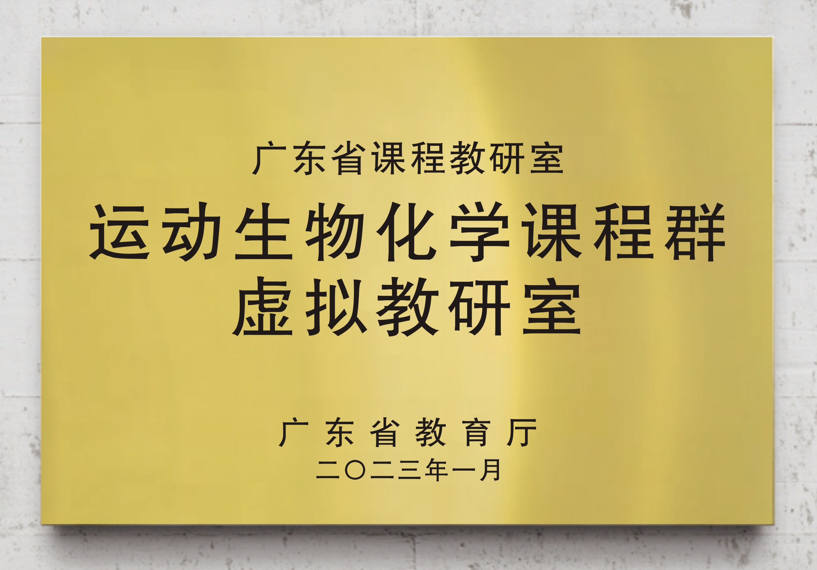 运动生物化学课程群虚拟教研室