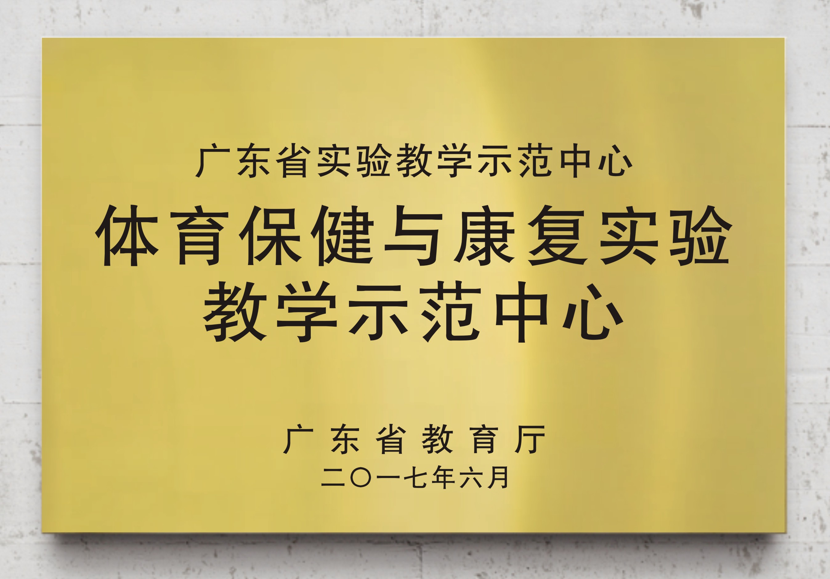 体育保健与康复实验教学示范中心