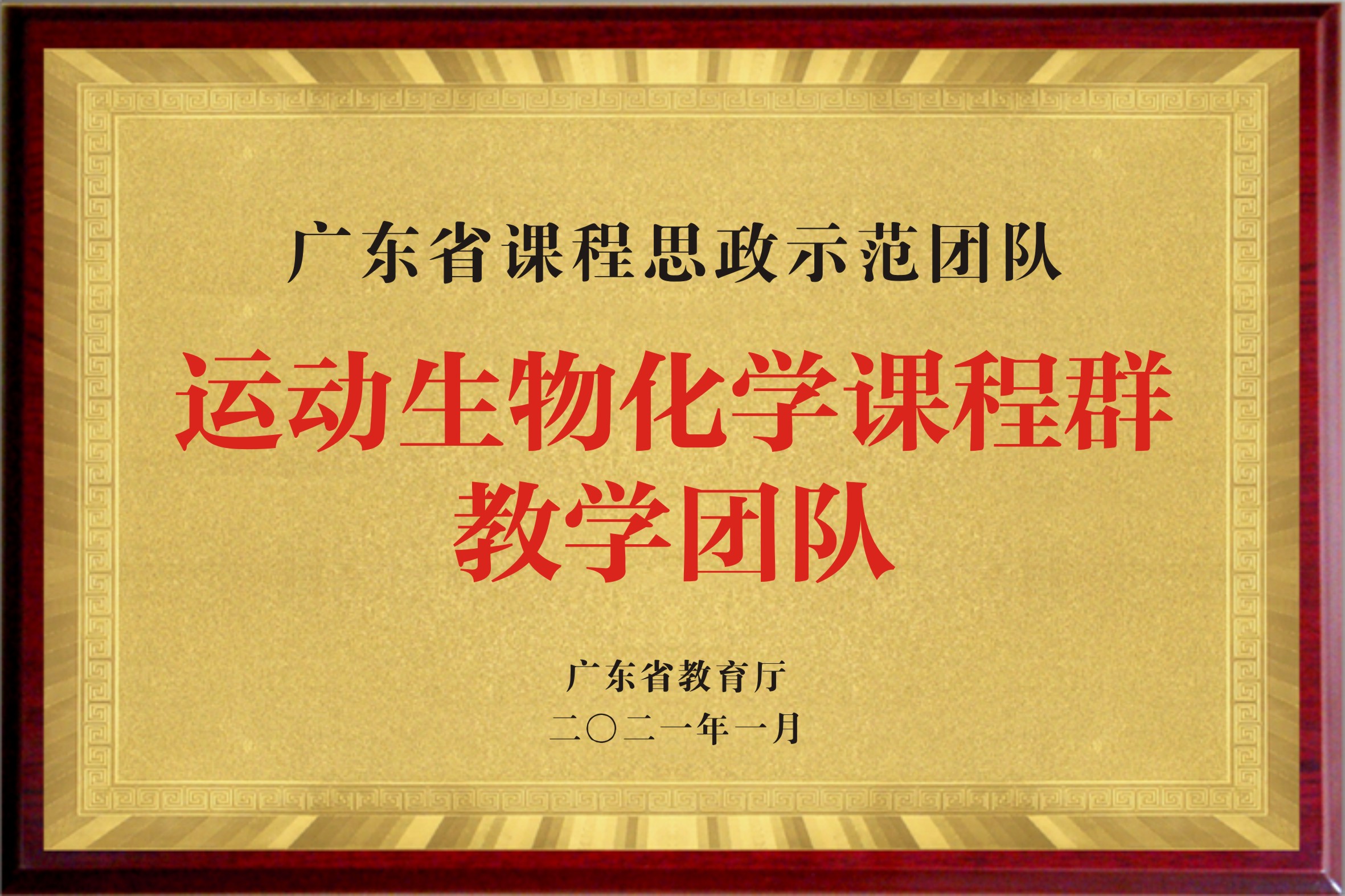 运动生物化学课程群教学团队